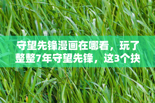 守望先锋漫画在哪看,玩了整整7年守望先锋,这3个抉择让我陷入无尽纠结! 守望先锋漫画在哪看,玩了整整7年守望先锋,这3个抉择让我陷入无尽纠结!
