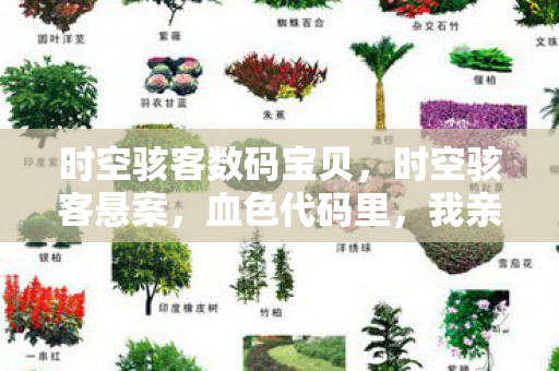 时空骇客数码宝贝,时空骇客悬案,血色代码里,我亲手埋葬自己的毛骨悚然真相 时空骇客数码宝贝,时空骇客悬案,血色代码里,我亲手埋葬自己的毛骨悚然真相