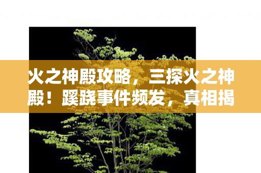 火之神殿攻略,三探火之神殿!蹊跷事件频发,真相揭晓时让人后背发凉 火之神殿攻略,三探火之神殿!蹊跷事件频发,真相揭晓时让人后背发凉