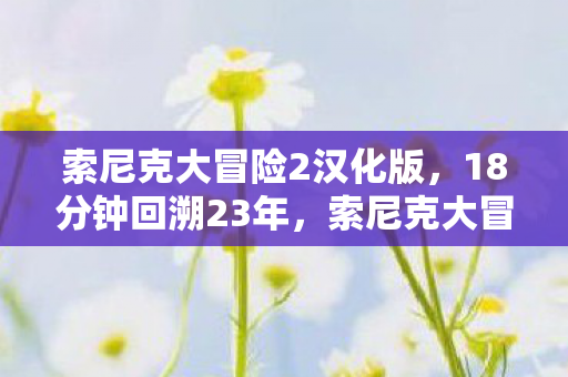 索尼克大冒险2汉化版,18分钟回溯23年,索尼克大冒险2的齿轮为何仍在转动?泪目真相在此 索尼克大冒险2汉化版,18分钟回溯23年,索尼克大冒险2的齿轮为何仍在转动?泪目真相在此