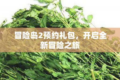 冒险岛2预约礼包，开启全新冒险之旅