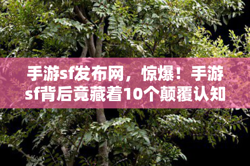 手游sf发布网，惊爆！手游sf背后竟藏着10个颠覆认知的神秘设计逻辑！