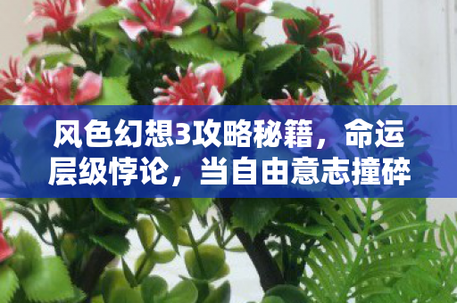 风色幻想3攻略秘籍，命运层级悖论，当自由意志撞碎灵魂震颤的宿命齿轮
