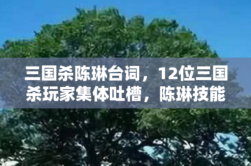 三国杀陈琳台词,12位三国杀玩家集体吐槽,陈琳技能疑点重重,这操作谁能绷得住? 三国杀陈琳台词,12位三国杀玩家集体吐槽,陈琳技能疑点重重,这操作谁能绷得住?