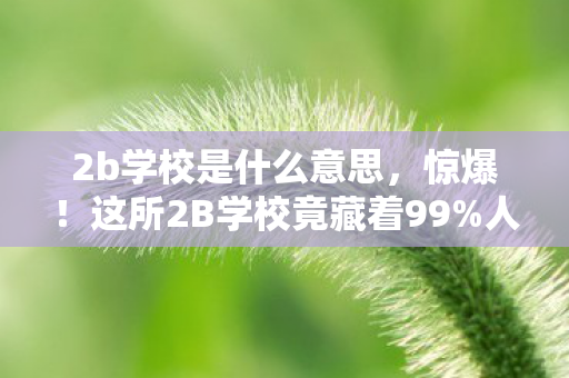 2b学校是什么意思,惊爆!这所2B学校竟藏着99%人不知的逆袭密码? 2b学校是什么意思,惊爆!这所2B学校竟藏着99%人不知的逆袭密码?