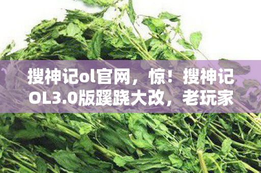 搜神记ol官网,惊!搜神记OL3.0版蹊跷大改,老玩家直呼这还是我青春? 搜神记ol官网,惊!搜神记OL3.0版蹊跷大改,老玩家直呼这还是我青春?