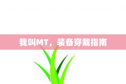 我叫MT，装备穿戴指南