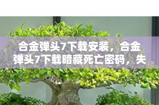 合金弹头7下载安装,合金弹头7下载暗藏死亡密码,失踪玩家悬案背后的毛骨悚然真相 合金弹头7下载安装,合金弹头7下载暗藏死亡密码,失踪玩家悬案背后的毛骨悚然真相