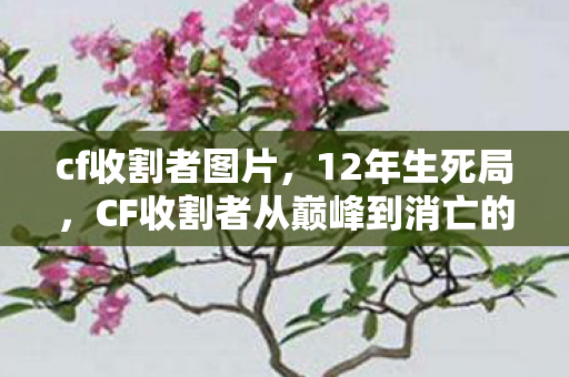 cf收割者图片,12年生死局,CF收割者从巅峰到消亡的谜面,泪目真相藏在代码里 cf收割者图片,12年生死局,CF收割者从巅峰到消亡的谜面,泪目真相藏在代码里