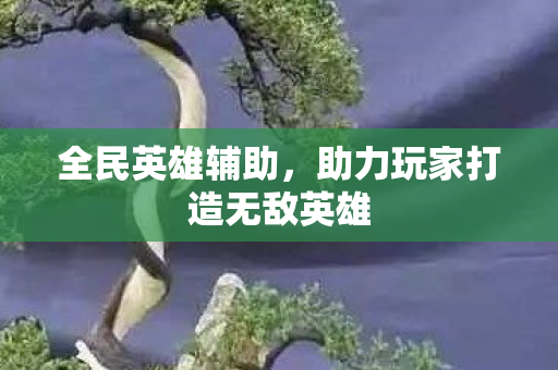 全民英雄辅助，助力玩家打造无敌英雄