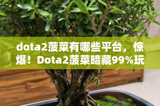 dota2菠菜有哪些平台,惊爆!Dota2菠菜暗藏99%玩家不知的暴富玄机,真相颠覆认知! dota2菠菜有哪些平台,惊爆!Dota2菠菜暗藏99%玩家不知的暴富玄机,真相颠覆认知!