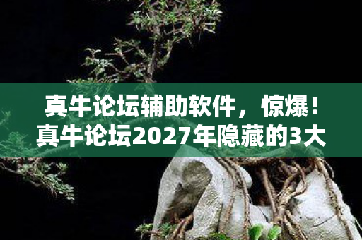 真牛论坛辅助软件,惊爆!真牛论坛2027年隐藏的3大财富密码,你竟还不知道? 真牛论坛辅助软件,惊爆!真牛论坛2027年隐藏的3大财富密码,你竟还不知道?