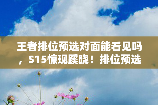 王者排位预选对面能看见吗,S15惊现蹊跷!排位预选位模式竟藏着这般变天往事? 王者排位预选对面能看见吗,S15惊现蹊跷!排位预选位模式竟藏着这般变天往事?