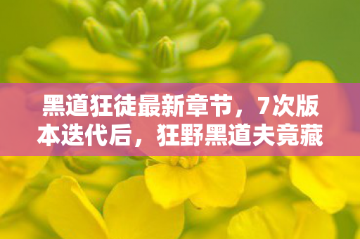 黑道狂徒最新章节，7次版本迭代后，狂野黑道夫竟藏着让百万玩家集体破防的真相？