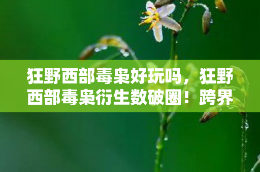 狂野西部毒枭好玩吗,狂野西部毒枭衍生数破圈!跨界联名玩出意想不到新花样 狂野西部毒枭好玩吗,狂野西部毒枭衍生数破圈!跨界联名玩出意想不到新花样