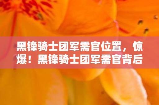 黑锋骑士团军需官位置,惊爆!黑锋骑士团军需官背后竟藏着3个颠覆认知的秘密! 黑锋骑士团军需官位置,惊爆!黑锋骑士团军需官背后竟藏着3个颠覆认知的秘密!