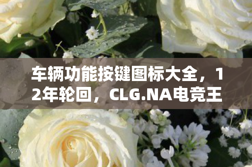 车辆功能按键图标大全,12年轮回,CLG.NA电竞王朝的崩塌与重生,泪目真相藏在最后一帧 车辆功能按键图标大全,12年轮回,CLG.NA电竞王朝的崩塌与重生,泪目真相藏在最后一帧
