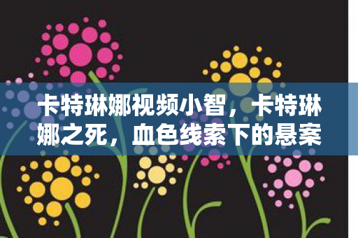 卡特琳娜视频小智,卡特琳娜之死,血色线索下的悬案,真相令人毛骨悚然 卡特琳娜视频小智,卡特琳娜之死,血色线索下的悬案,真相令人毛骨悚然