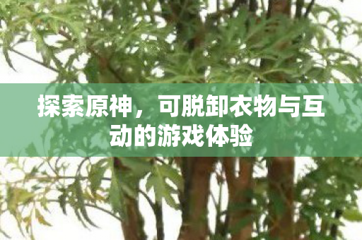 探索原神,可脱卸衣物与互动的游戏体验 探索原神,可脱卸衣物与互动的游戏体验