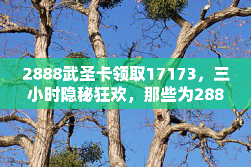 2888武圣卡领取17173,三小时隐秘狂欢,那些为2888武圣卡哽咽的深夜 2888武圣卡领取17173,三小时隐秘狂欢,那些为2888武圣卡哽咽的深夜