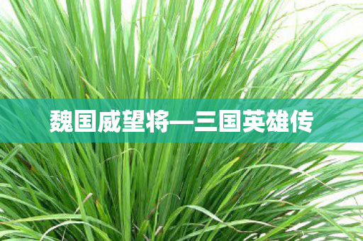 魏国威望将—三国英雄传