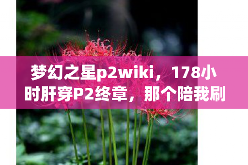 梦幻之星p2wiki,178小时肝穿P2终章,那个陪我刷爆3000次副本的TA,为何在2027年删号前说了句对不起? 梦幻之星p2wiki,178小时肝穿P2终章,那个陪我刷爆3000次副本的TA,为何在2027年删号前说了句对不起?