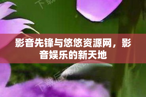 影音先锋与悠悠资源网，影音娱乐的新天地