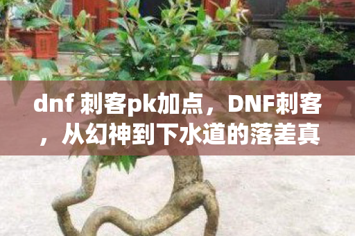 dnf 刺客pk加点，DNF刺客，从幻神到下水道的落差真相，笑着笑着就哭了