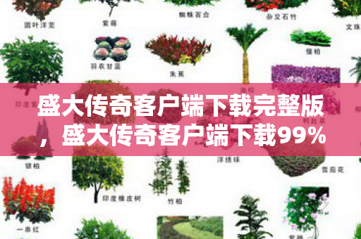 盛大传奇客户端下载完整版,盛大传奇客户端下载99%玩家不知道的3大猫腻,氪到破产也上头! 盛大传奇客户端下载完整版,盛大传奇客户端下载99%玩家不知道的3大猫腻,氪到破产也上头!