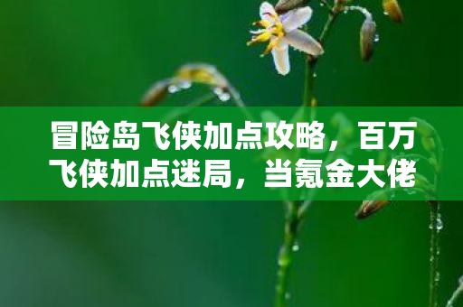 冒险岛飞侠加点攻略,百万飞侠加点迷局,当氪金大佬与零氪肝帝的破防时刻同时降临 冒险岛飞侠加点攻略,百万飞侠加点迷局,当氪金大佬与零氪肝帝的破防时刻同时降临