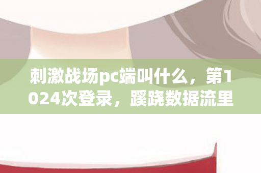 刺激战场pc端叫什么，第1024次登录，蹊跷数据流里，后背发凉的十年逃亡真相