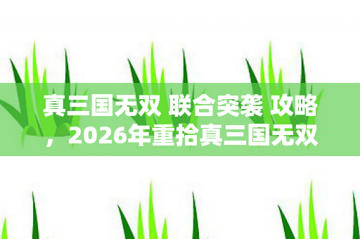 真三国无双 联合突袭 攻略,2026年重拾真三国无双 联合突袭,伏笔揭开,鼻子一酸忆旧情 真三国无双 联合突袭 攻略,2026年重拾真三国无双 联合突袭,伏笔揭开,鼻子一酸忆旧情