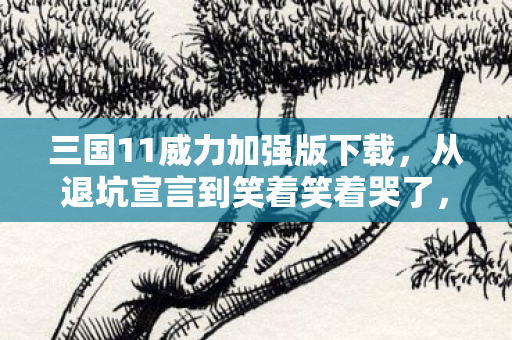 三国11威力加强版下载,从退坑宣言到笑着笑着哭了,三国11威力加强版下载背后的真相落差 三国11威力加强版下载,从退坑宣言到笑着笑着哭了,三国11威力加强版下载背后的真相落差