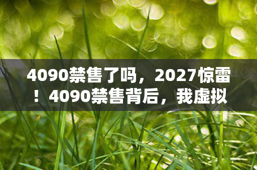 4090禁售了吗,2027惊雷!4090禁售背后,我虚拟情缘竟成最长守候 4090禁售了吗,2027惊雷!4090禁售背后,我虚拟情缘竟成最长守候