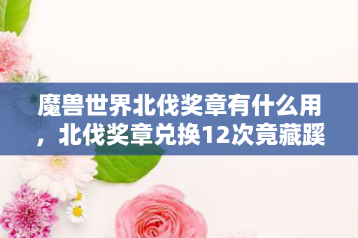 魔兽世界北伐奖章有什么用,北伐奖章兑换12次竟藏蹊跷,真相揭晓后背发凉! 魔兽世界北伐奖章有什么用,北伐奖章兑换12次竟藏蹊跷,真相揭晓后背发凉!
