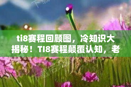 ti8赛程回顾图,冷知识大揭秘!TI8赛程颠覆认知,老玩家目瞪口呆的真相 ti8赛程回顾图,冷知识大揭秘!TI8赛程颠覆认知,老玩家目瞪口呆的真相
