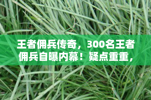 王者佣兵传奇,300名王者佣兵自曝内幕!疑点重重,这操作真绷不住了! 王者佣兵传奇,300名王者佣兵自曝内幕!疑点重重,这操作真绷不住了!