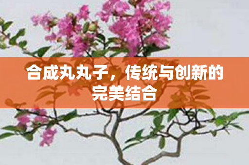 合成丸丸子，传统与创新的完美结合