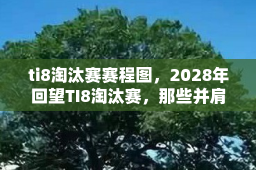 ti8淘汰赛赛程图，2028年回望TI8淘汰赛，那些并肩的夜，伏笔成殇，鼻子一酸谁懂啊