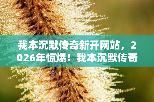 我本沉默传奇新开网站,2026年惊爆!我本沉默传奇私服发布网竟藏如此玄机? 我本沉默传奇新开网站,2026年惊爆!我本沉默传奇私服发布网竟藏如此玄机?