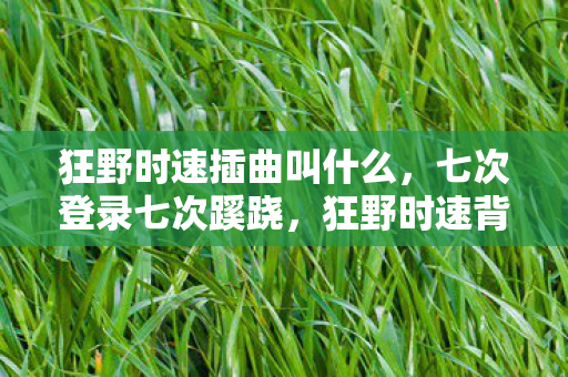 狂野时速插曲叫什么,七次登录七次蹊跷,狂野时速背后,后背发凉的十年逃亡 狂野时速插曲叫什么,七次登录七次蹊跷,狂野时速背后,后背发凉的十年逃亡