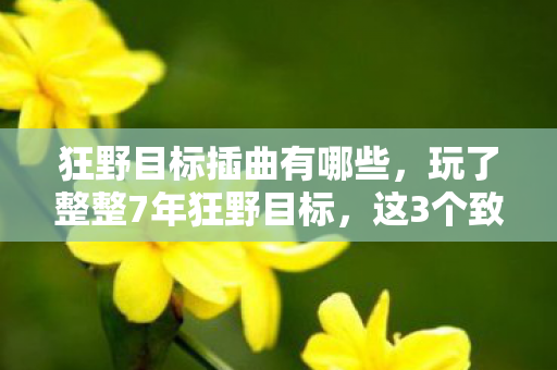 狂野目标插曲有哪些,玩了整整7年狂野目标,这3个致命抉择让我彻底破防了! 狂野目标插曲有哪些,玩了整整7年狂野目标,这3个致命抉择让我彻底破防了!