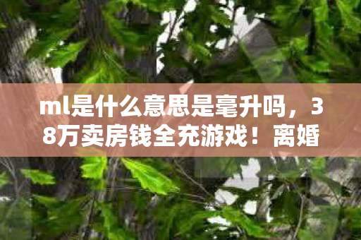 ml是什么意思是毫升吗,38万卖房钱全充游戏!离婚协议藏惊天隐情,看完吓出一身冷汗! ml是什么意思是毫升吗,38万卖房钱全充游戏!离婚协议藏惊天隐情,看完吓出一身冷汗!