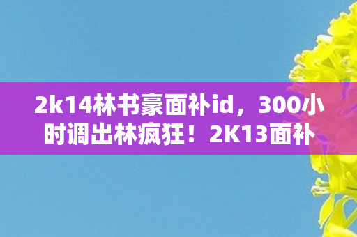 2k14林书豪面补id,300小时调出林疯狂!2K13面补党含泪揭秘,这数据背后藏着多少青春的刀? 2k14林书豪面补id,300小时调出林疯狂!2K13面补党含泪揭秘,这数据背后藏着多少青春的刀?