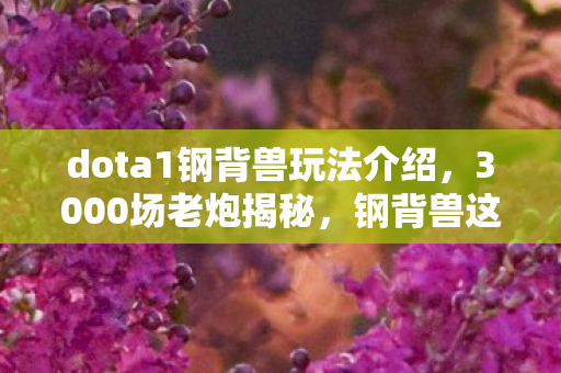 dota1钢背兽玩法介绍，3000场老炮揭秘，钢背兽这出装疑点，网吧众人听完全绷不住了！