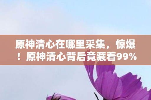 原神清心在哪里采集,惊爆!原神清心背后竟藏着99%玩家不知的3大隐秘设计! 原神清心在哪里采集,惊爆!原神清心背后竟藏着99%玩家不知的3大隐秘设计!