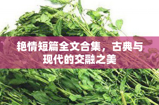 艳情短篇全文合集,古典与现代的交融之美 艳情短篇全文合集,古典与现代的交融之美