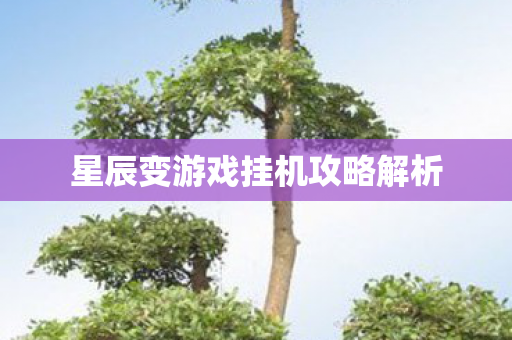星辰变游戏挂机攻略解析