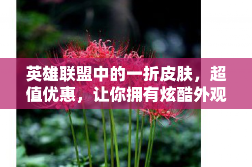 英雄联盟中的一折皮肤，超值优惠，让你拥有炫酷外观