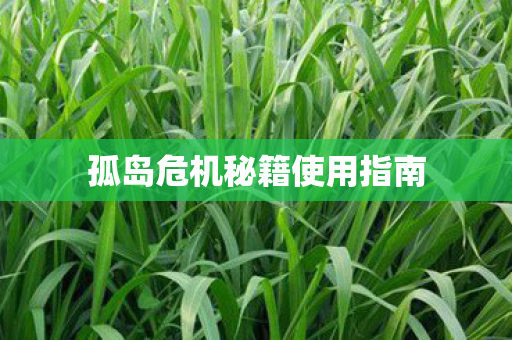 孤岛危机秘籍使用指南 孤岛危机秘籍使用指南